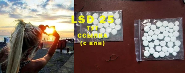 ПСИЛОЦИБИНОВЫЕ ГРИБЫ Бородино