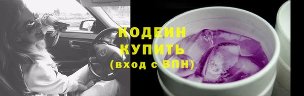 ПСИЛОЦИБИНОВЫЕ ГРИБЫ Бородино
