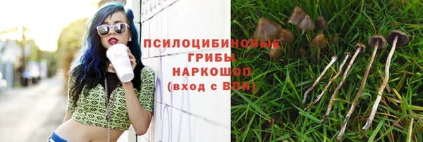 стафф Бугульма