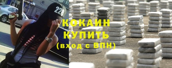 ПСИЛОЦИБИНОВЫЕ ГРИБЫ Бородино
