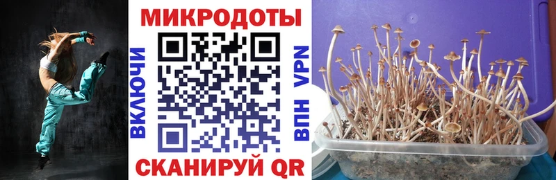 Галлюциногенные грибы мицелий  Подольск 